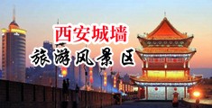 和处女透屄中国陕西-西安城墙旅游风景区